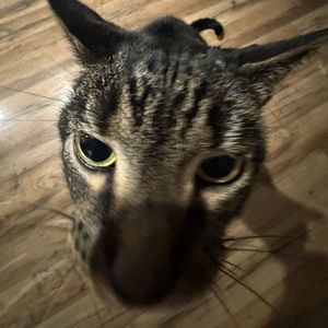 Meet your Posher, Brooklynn